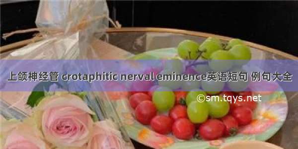 上颌神经管 crotaphitic nerval eminence英语短句 例句大全