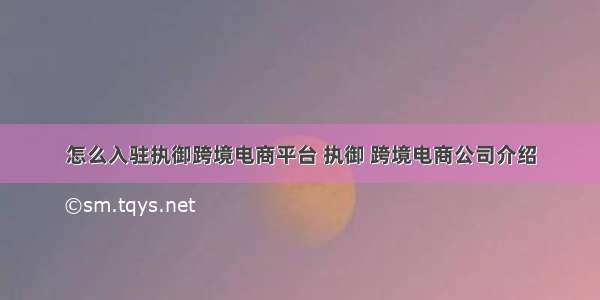 怎么入驻执御跨境电商平台 执御 跨境电商公司介绍