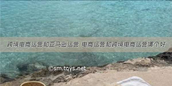 跨境电商运营和亚马逊运营 电商运营和跨境电商运营哪个好