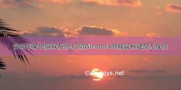 安装苹果电脑双系统 启动Windows时候鼠标键盘无反应