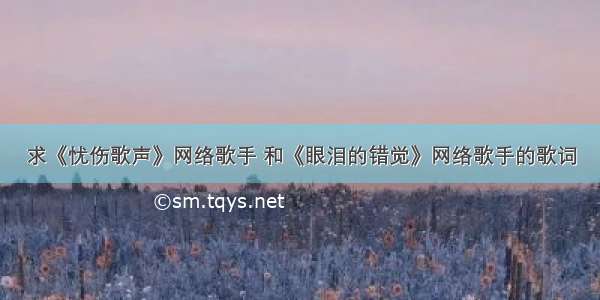 求《忧伤歌声》网络歌手 和《眼泪的错觉》网络歌手的歌词