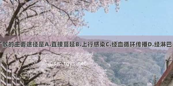 流产后感染扩散的主要途径是A.直接蔓延B.上行感染C.经血循环传播D.经淋巴系统蔓延E.以