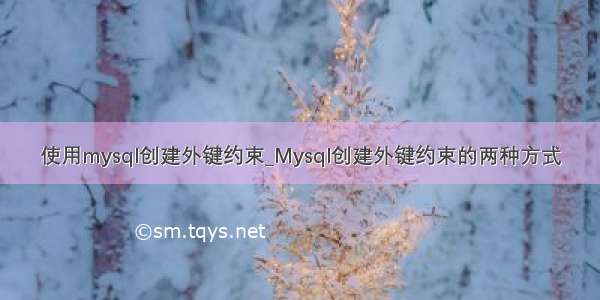 使用mysql创建外键约束_Mysql创建外键约束的两种方式