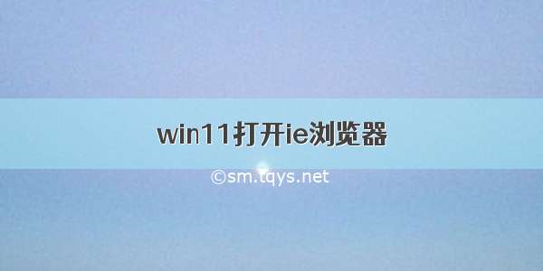 win11打开ie浏览器