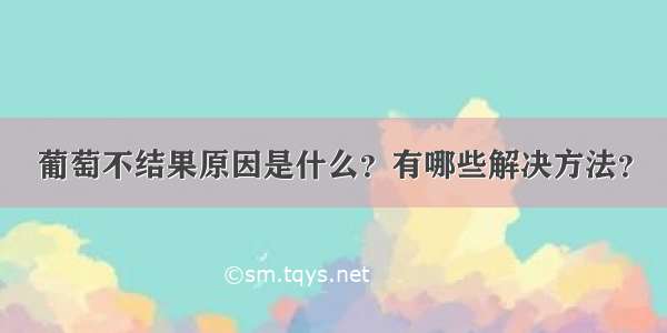 葡萄不结果原因是什么？有哪些解决方法？