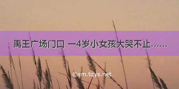 禹王广场门口 一4岁小女孩大哭不止……