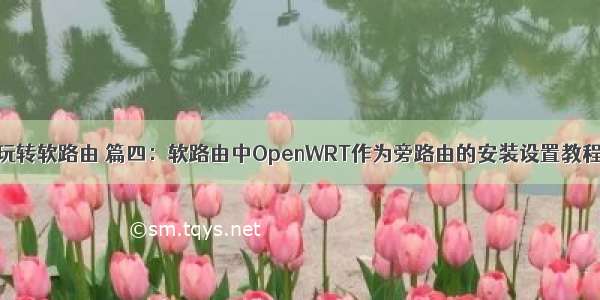 玩转软路由 篇四：软路由中OpenWRT作为旁路由的安装设置教程