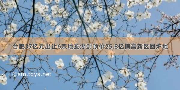 合肥37亿元出让6宗地龙湖封顶价25.8亿摘高新区回炉地