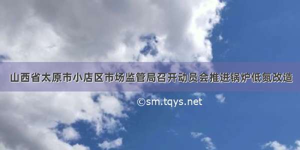 山西省太原市小店区市场监管局召开动员会推进锅炉低氮改造