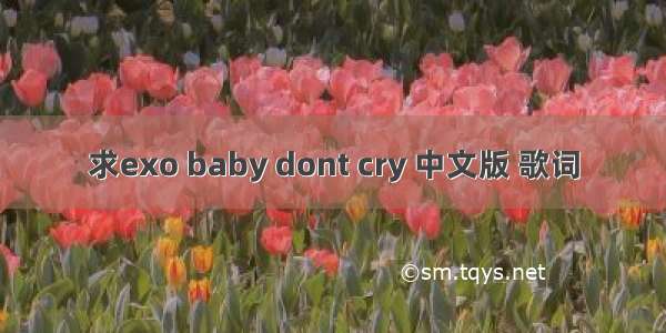 求exo baby dont cry 中文版 歌词