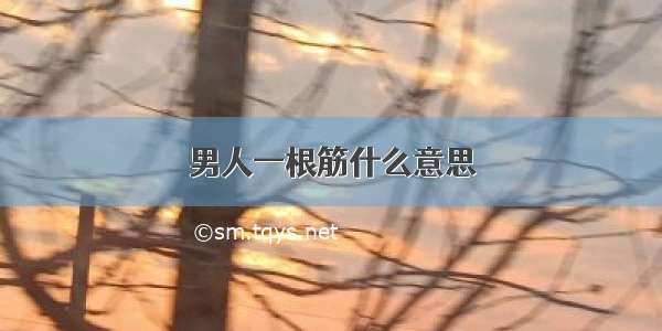 男人一根筋什么意思