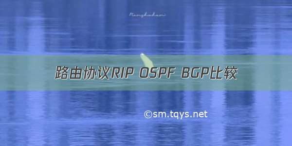 路由协议RIP OSPF BGP比较