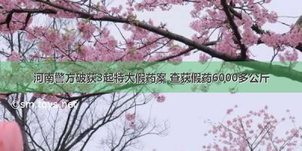 河南警方破获3起特大假药案 查获假药6000多公斤