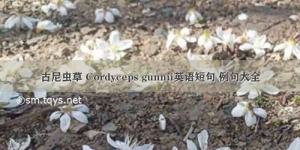 古尼虫草 Cordyceps gunnii英语短句 例句大全