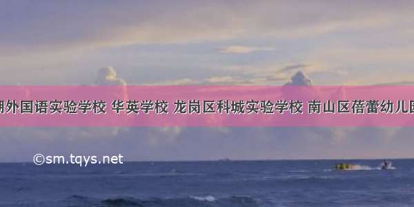 罗湖区银湖外国语实验学校 华英学校 龙岗区科城实验学校 南山区蓓蕾幼儿园 育才三中