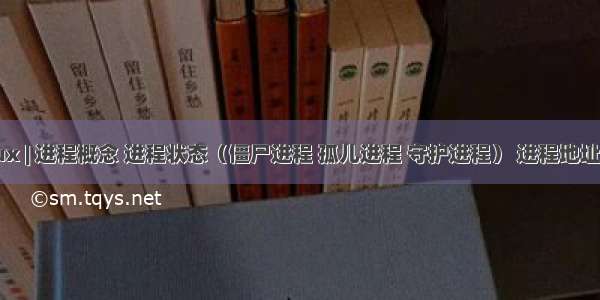 Linux | 进程概念 进程状态（僵尸进程 孤儿进程 守护进程） 进程地址空间