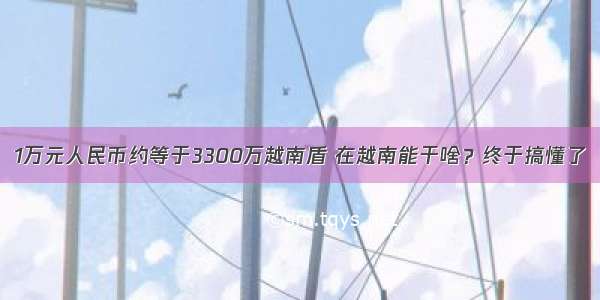 1万元人民币约等于3300万越南盾 在越南能干啥？终于搞懂了