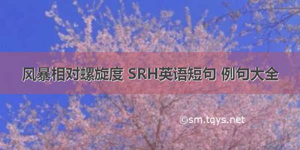 风暴相对螺旋度 SRH英语短句 例句大全