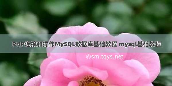 PHP连接和操作MySQL数据库基础教程 mysql基础教程