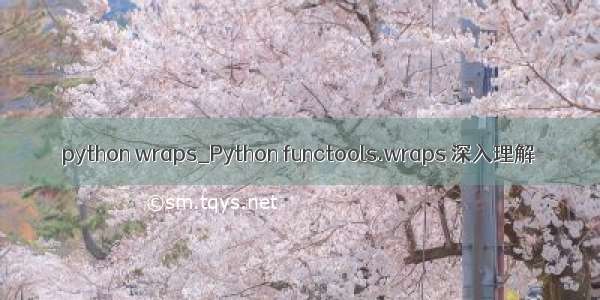 python wraps_Python functools.wraps 深入理解