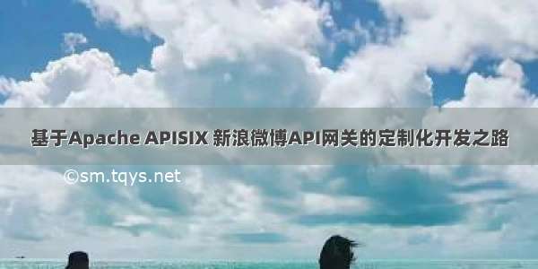 基于Apache APISIX 新浪微博API网关的定制化开发之路