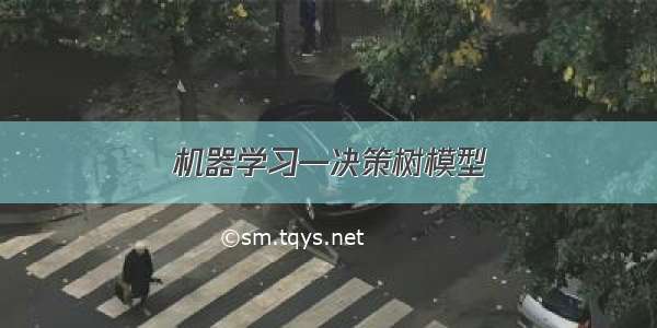 机器学习—决策树模型