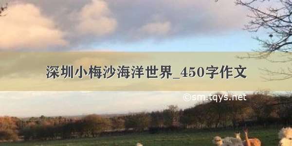 深圳小梅沙海洋世界_450字作文