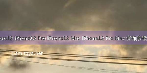 iPhone12 iPhone12 Pro iPhone12 Max iPhone12 Pro Max 详细参数配置