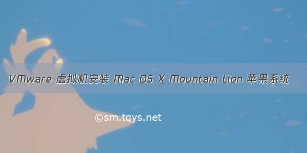 VMware 虚拟机安装 Mac OS X Mountain Lion 苹果系统