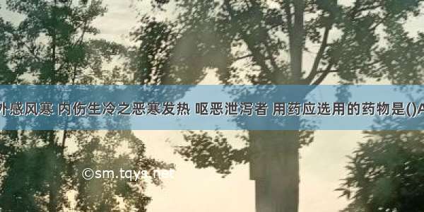 治疗暑月外感风寒 内伤生冷之恶寒发热 呕恶泄泻者 用药应选用的药物是()A.藿香B.砂