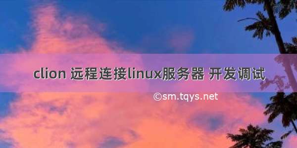 clion 远程连接linux服务器 开发调试