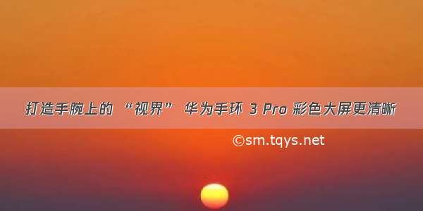 打造手腕上的 “视界” 华为手环 3 Pro 彩色大屏更清晰