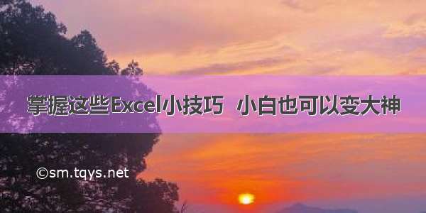 掌握这些Excel小技巧  小白也可以变大神