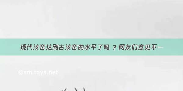 现代汝窑达到古汝窑的水平了吗 ？网友们意见不一