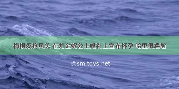 梅根爱抢风头 在尤金妮公主婚礼上宣布怀孕 哈里很尴尬