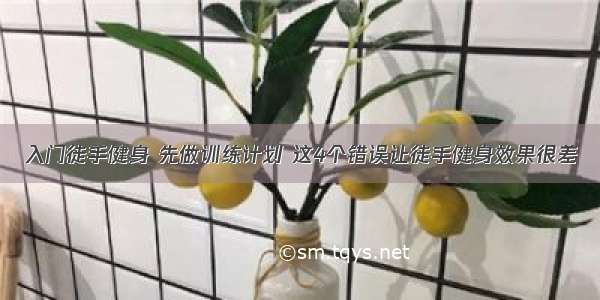 入门徒手健身 先做训练计划 这4个错误让徒手健身效果很差