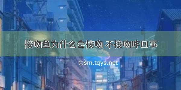 接吻鱼为什么会接吻 不接吻咋回事