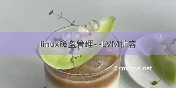 linux磁盘管理--LVM扩容