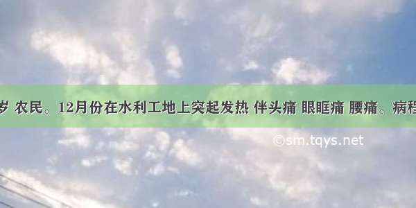 女性 19岁 农民。12月份在水利工地上突起发热 伴头痛 眼眶痛 腰痛。病程第4天就