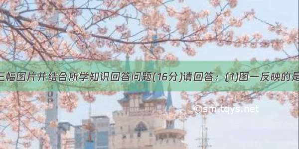 请根据下列三幅图片并结合所学知识回答问题(16分)请回答：(1)图一反映的是周总理1953