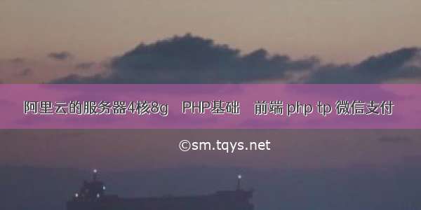 阿里云的服务器4核8g – PHP基础 – 前端 php tp 微信支付