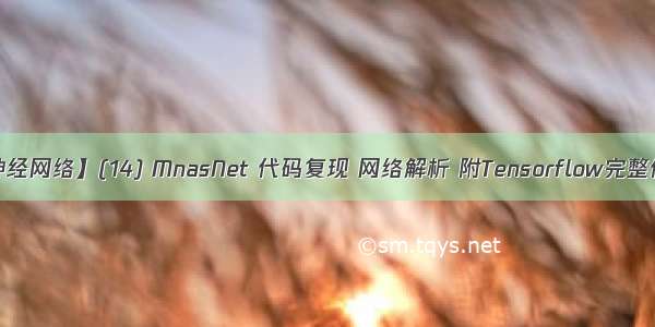 【神经网络】(14) MnasNet 代码复现 网络解析 附Tensorflow完整代码