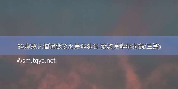 经典散文相遇武汉之昙华林街 武汉昙华林老街(三篇)