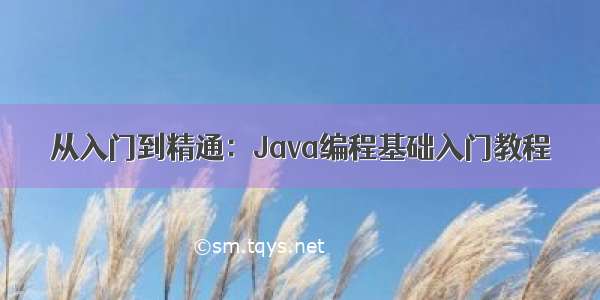 从入门到精通：Java编程基础入门教程