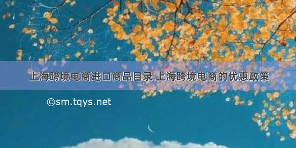 上海跨境电商进口商品目录 上海跨境电商的优惠政策
