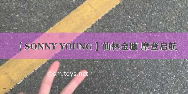 【SONNY YOUNG】仙林金鹰 摩登启航