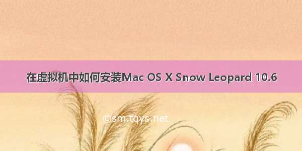 在虚拟机中如何安装Mac OS X Snow Leopard 10.6