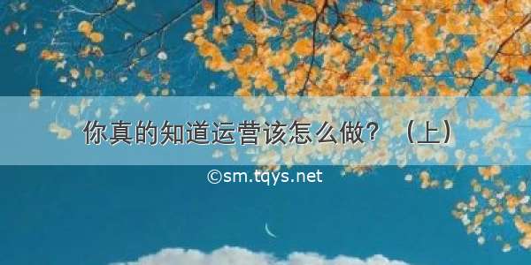 你真的知道运营该怎么做？（上）