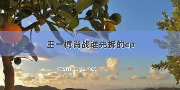 王一博肖战谁先拆的cp