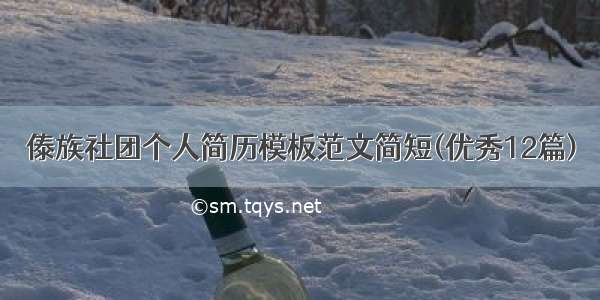 傣族社团个人简历模板范文简短(优秀12篇)